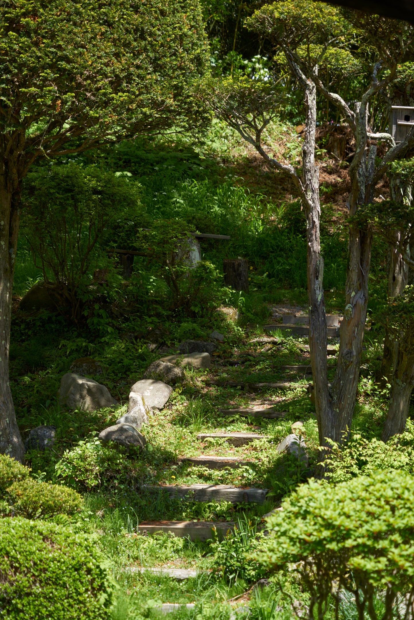 Sennenji Temple