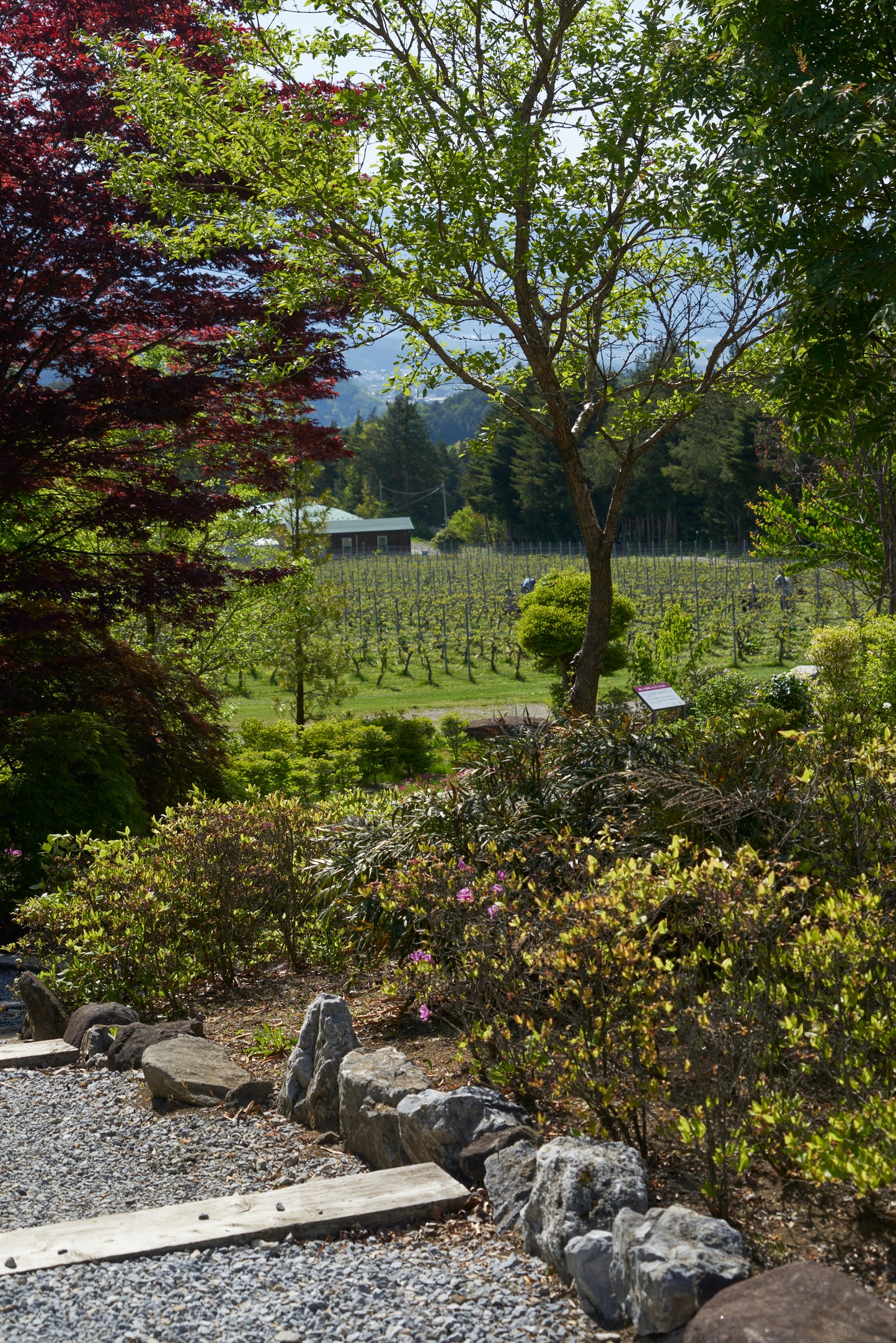 Winery with terrace overlooking the mountains of Shinshu