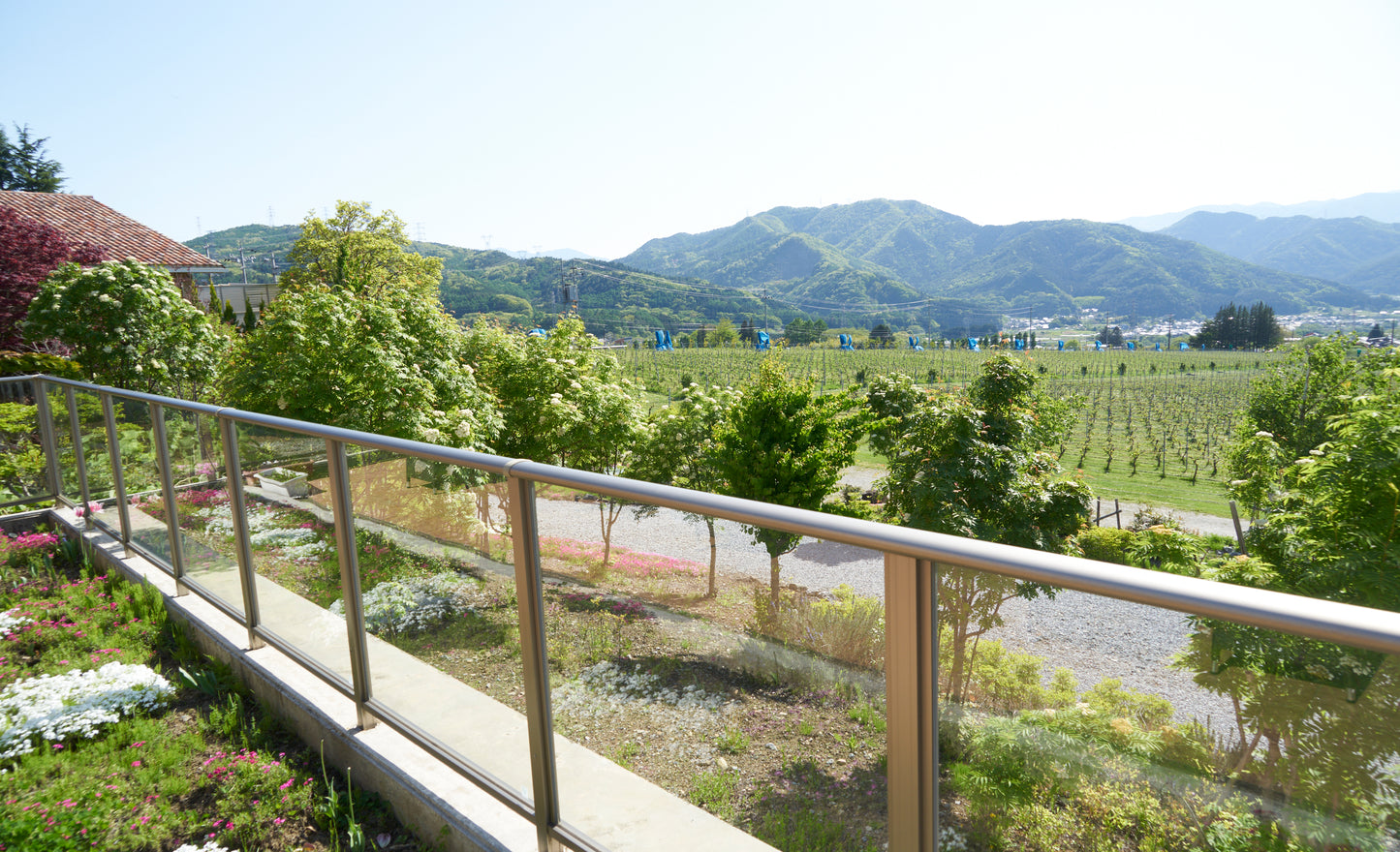 信州の山々を一望できるテラス付ワイナリー