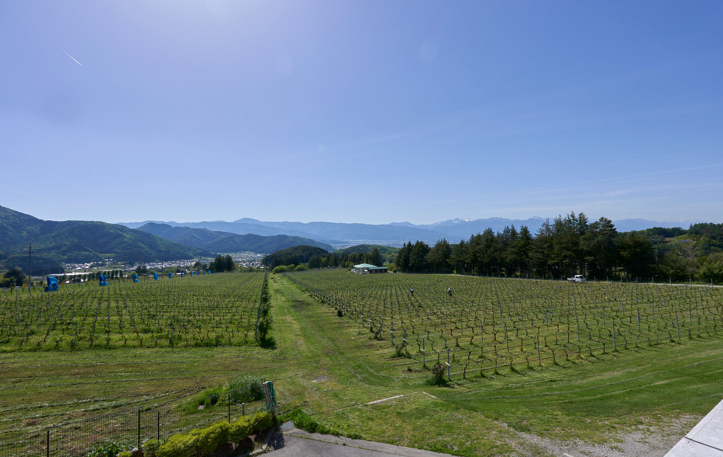 信州の山々を一望できるテラス付ワイナリー