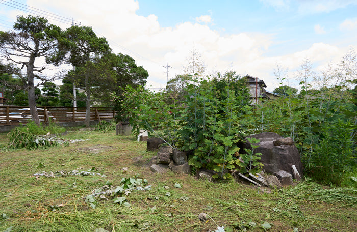 Former village mayor of ruins