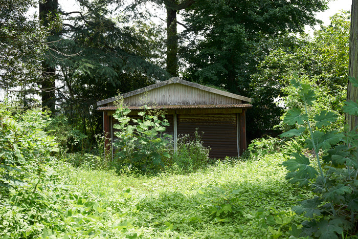 旧村長宅 廃墟