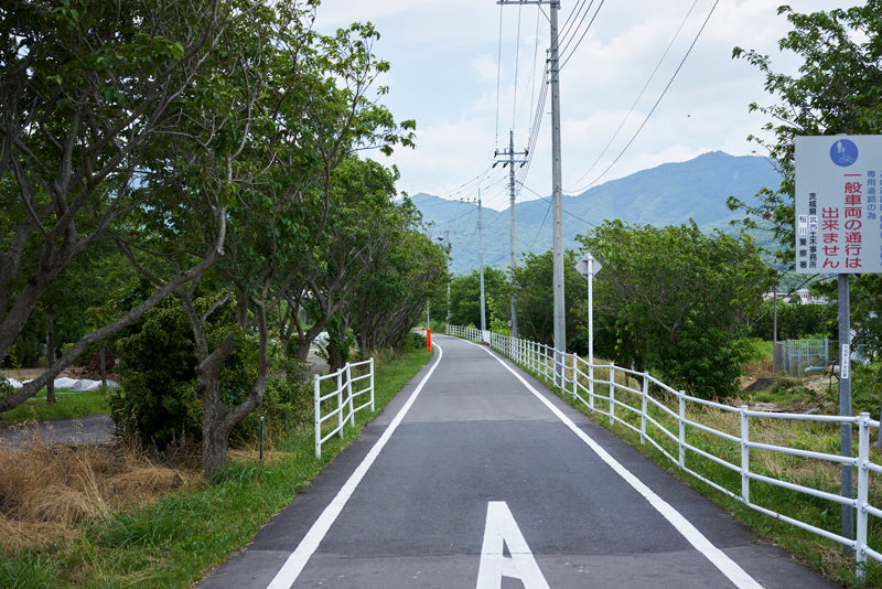 Rinrin Road