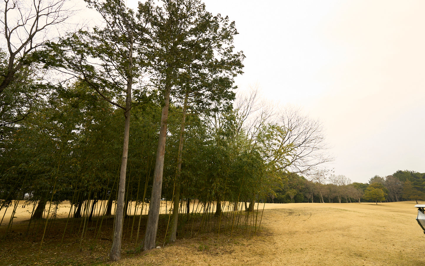 Shimodate Park Golf Club (inside the Hirosawa City)