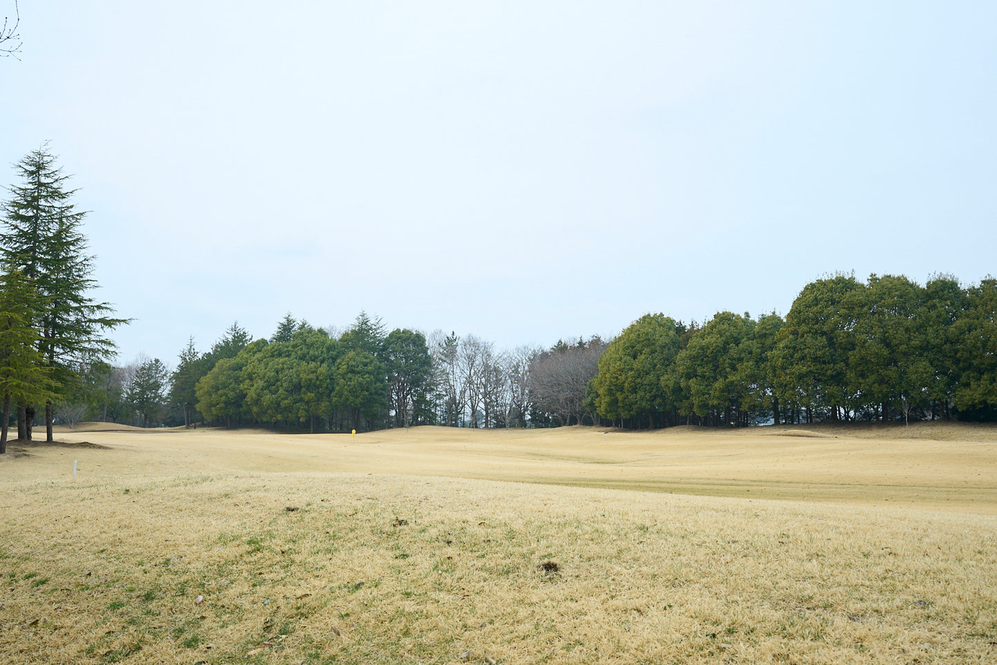 Shimodate Park Golf Club (inside the Hirosawa City)