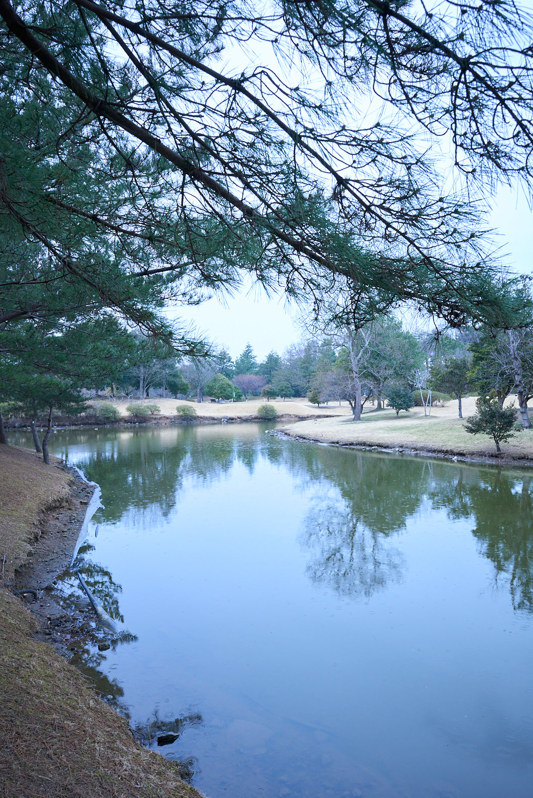 Shimodate Park Golf Club (inside the Hirosawa City)