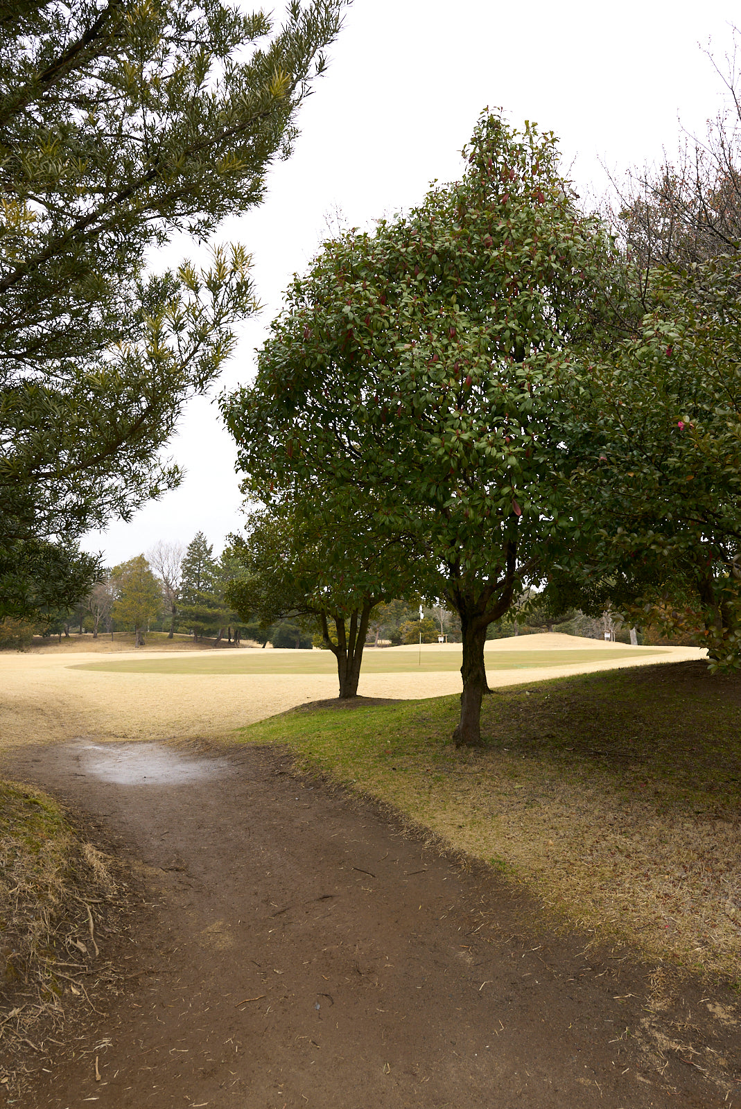 Shimodate Park Golf Club (inside the Hirosawa City)