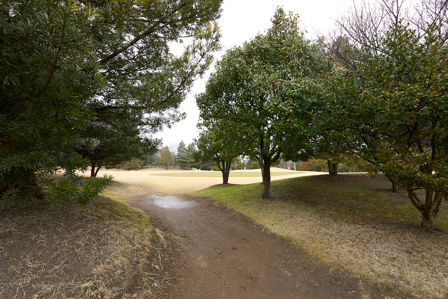 Shimodate Park Golf Club (inside the Hirosawa City)