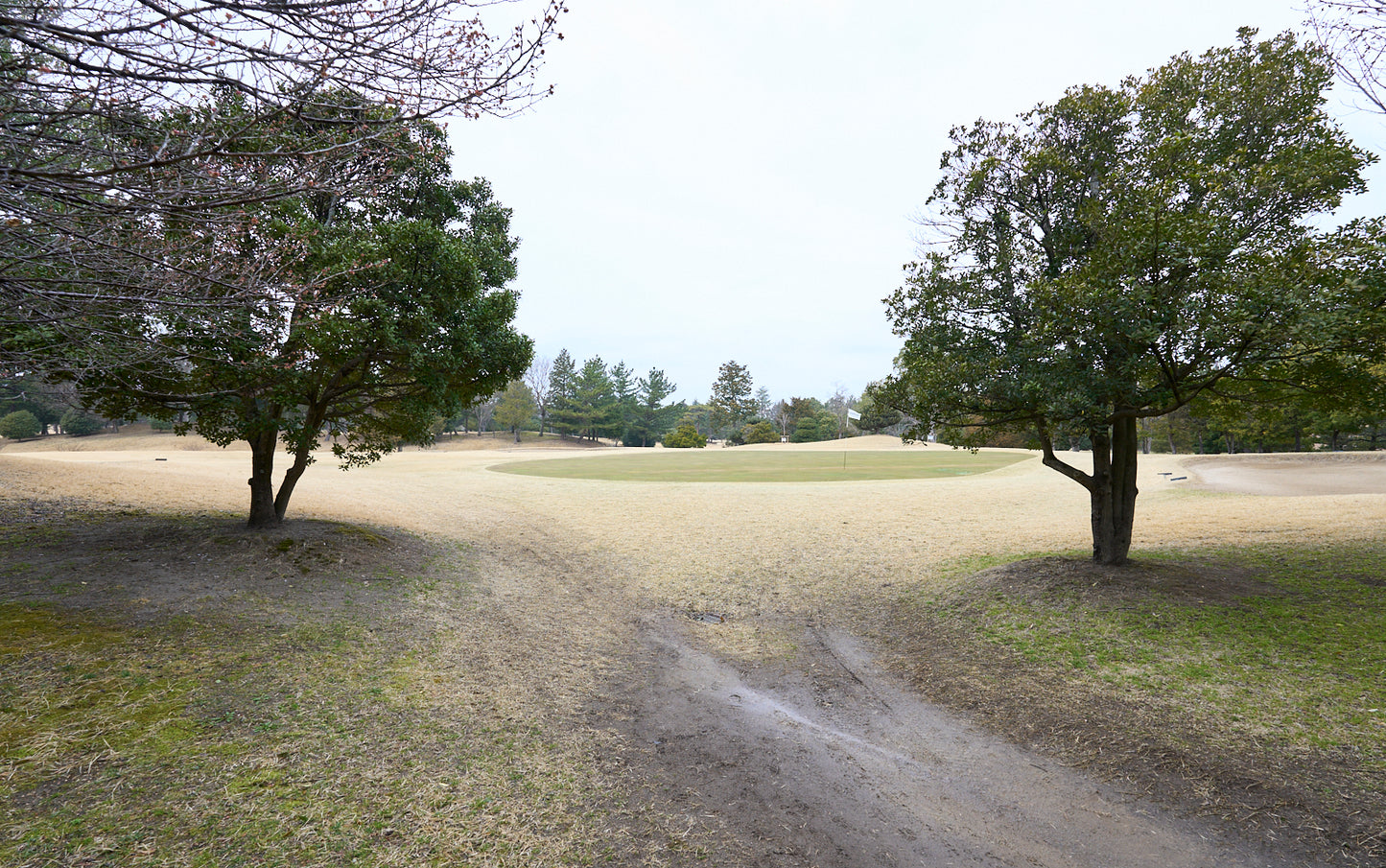 Shimodate Park Golf Club (inside the Hirosawa City)