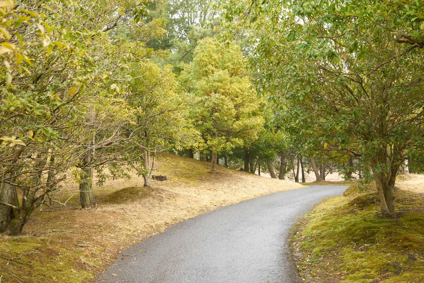 Shimodate Park Golf Club (inside the Hirosawa City)