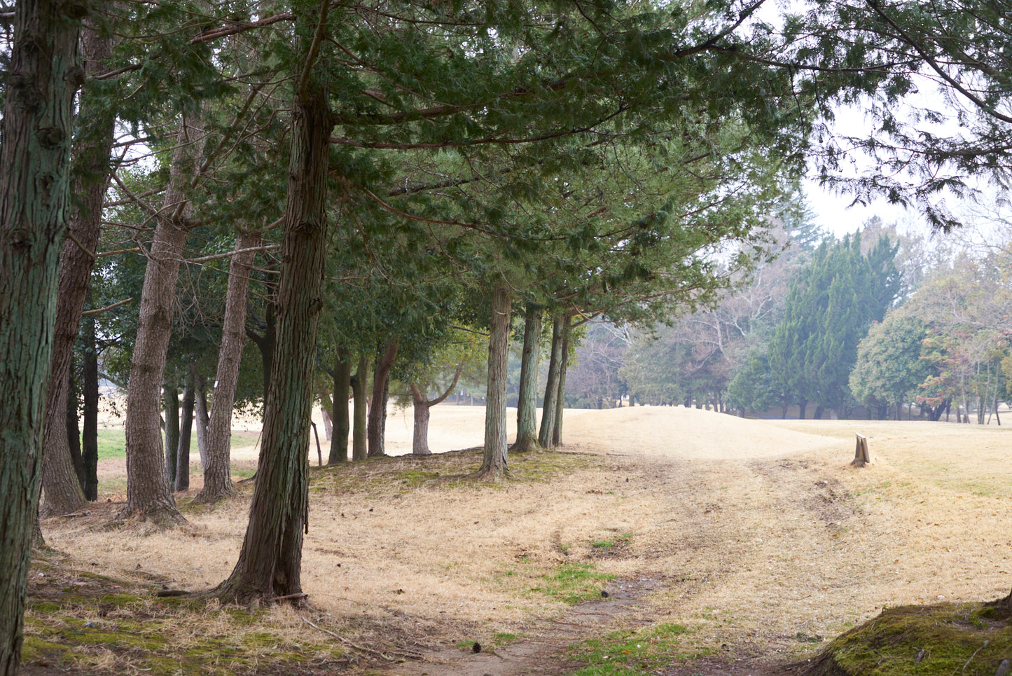 Shimodate Park Golf Club (inside the Hirosawa City)