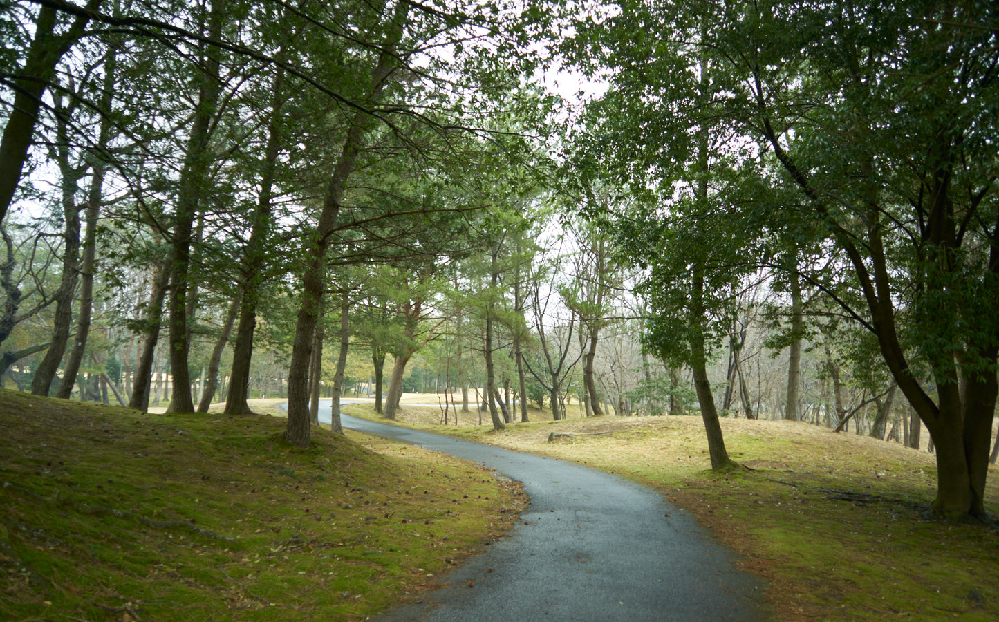 Shimodate Park Golf Club (inside the Hirosawa City)