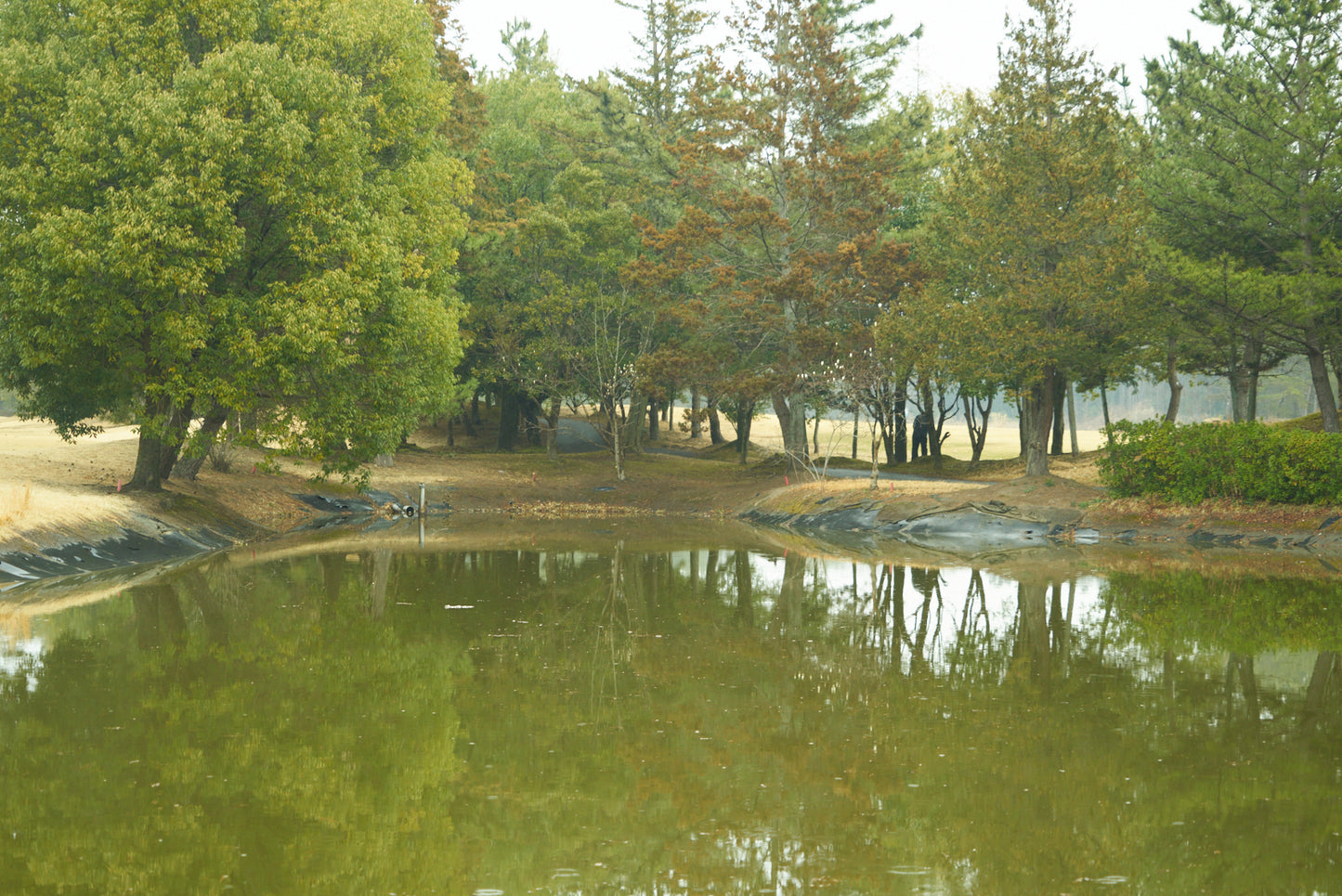 Shimodate Park Golf Club (inside the Hirosawa City)