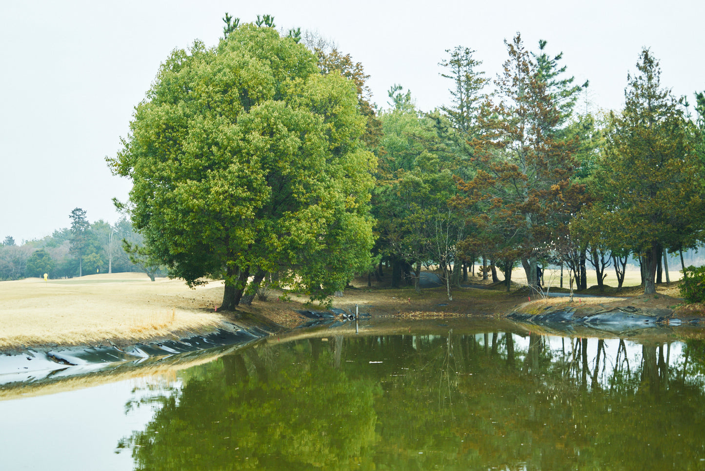 Shimodate Park Golf Club (inside the Hirosawa City)