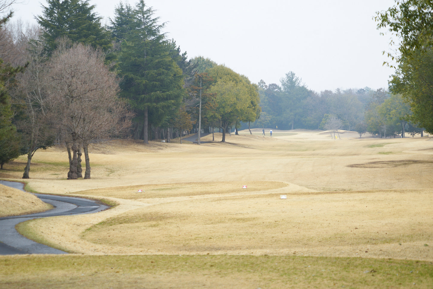 Shimodate Park Golf Club (inside the Hirosawa City)