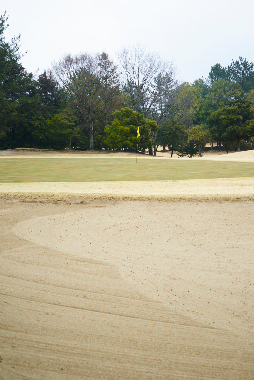 Shimodate Park Golf Club (inside the Hirosawa City)