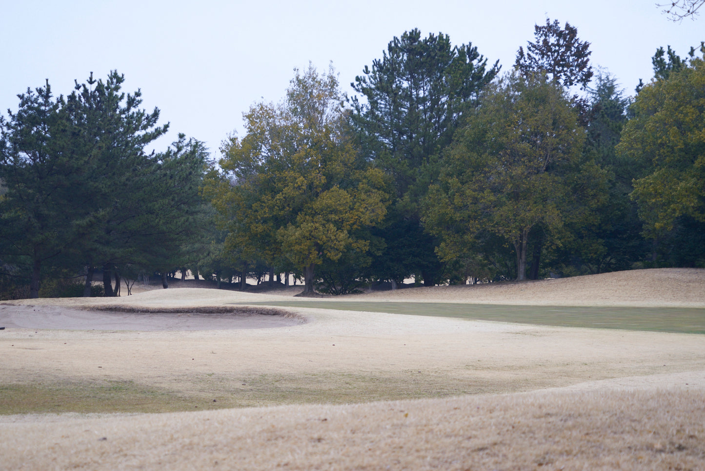 Shimodate Park Golf Club (inside the Hirosawa City)