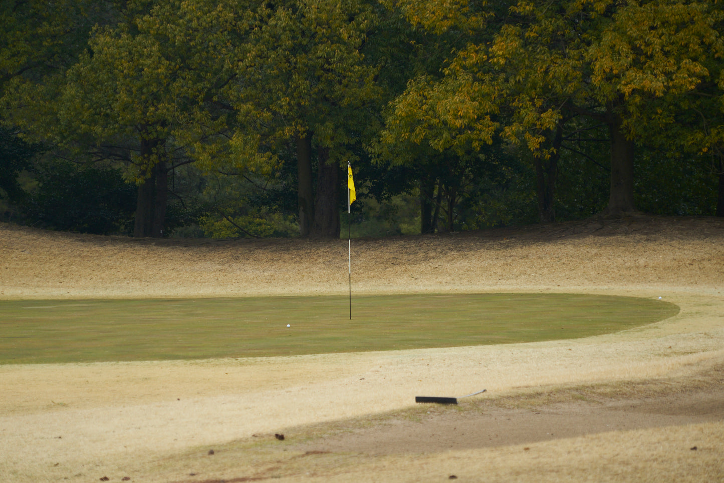 Shimodate Park Golf Club (inside the Hirosawa City)