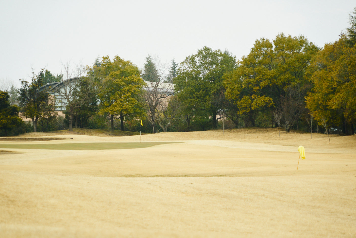 Shimodate Park Golf Club (inside the Hirosawa City)