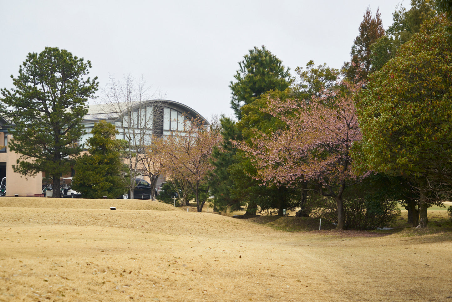 Shimodate Park Golf Club (inside the Hirosawa City)