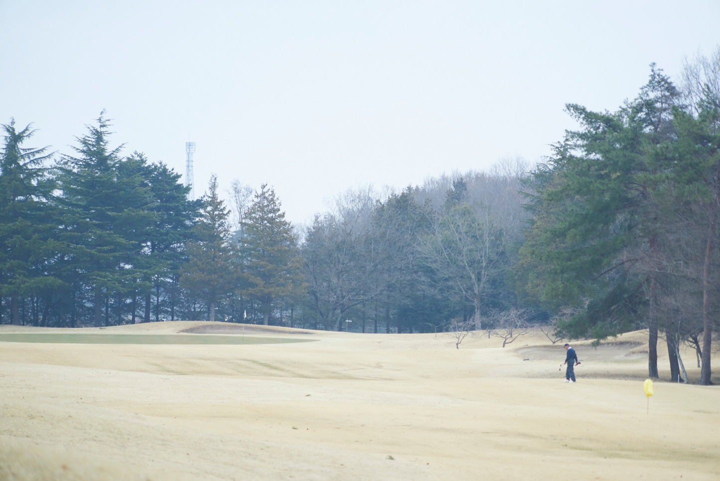 Shimodate Park Golf Club (inside the Hirosawa City)