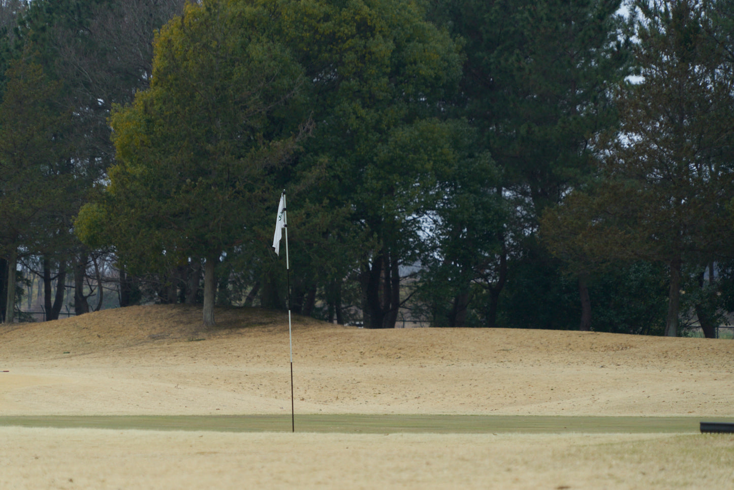 Shimodate Park Golf Club (inside the Hirosawa City)