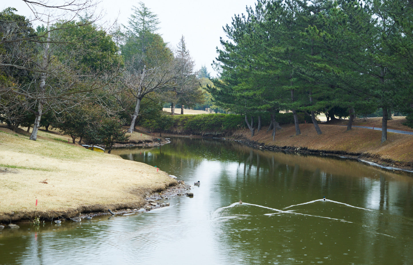 Shimodate Park Golf Club (inside the Hirosawa City)