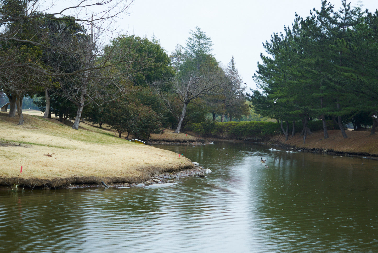 Shimodate Park Golf Club (inside the Hirosawa City)