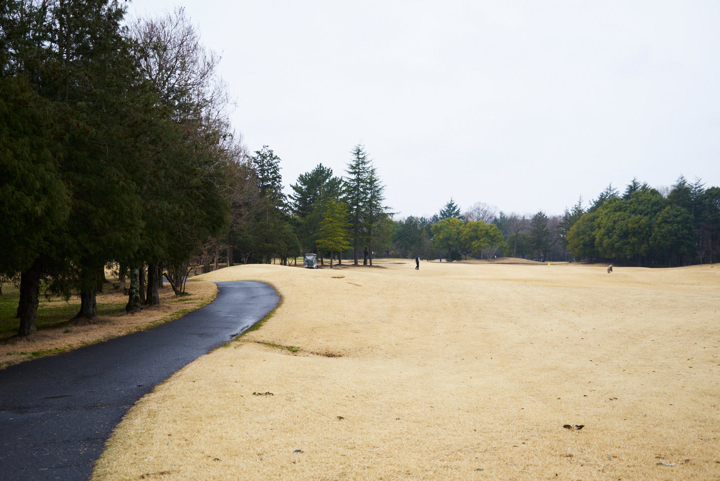 Shimodate Park Golf Club (inside the Hirosawa City)