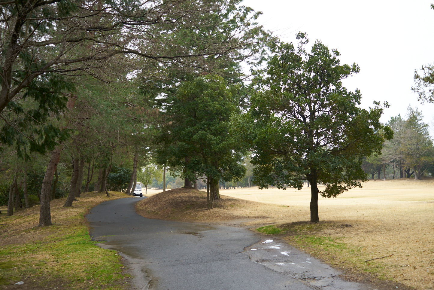 Shimodate Park Golf Club (inside the Hirosawa City)