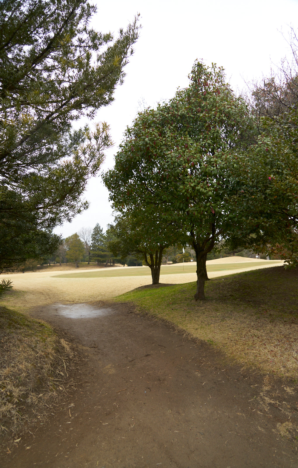 Shimodate Park Golf Club (inside the Hirosawa City)