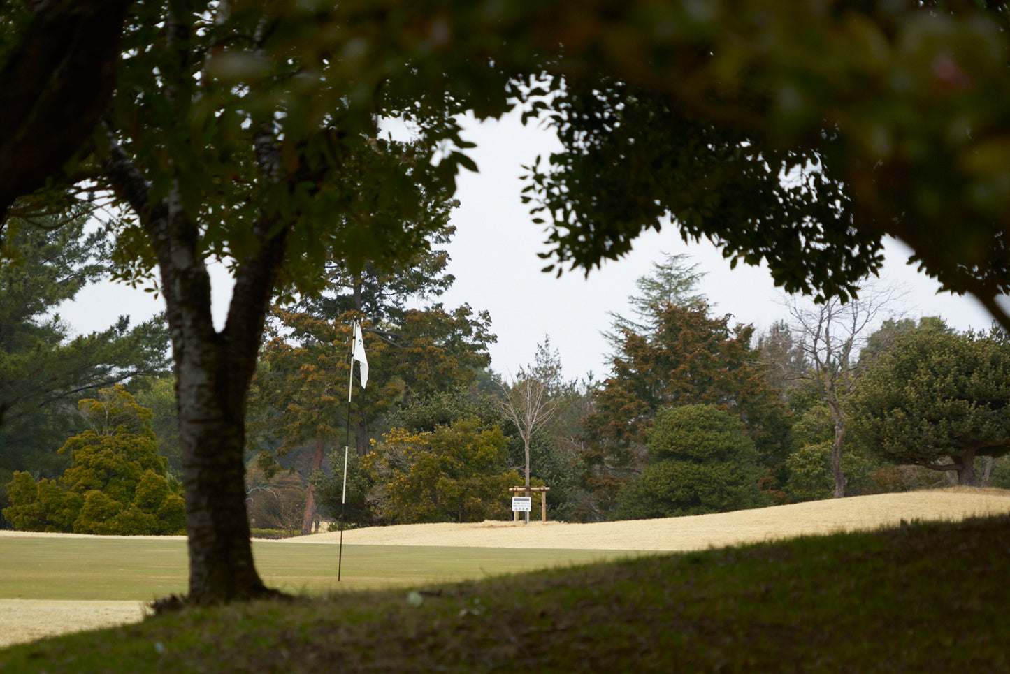 Shimodate Park Golf Club (inside the Hirosawa City)