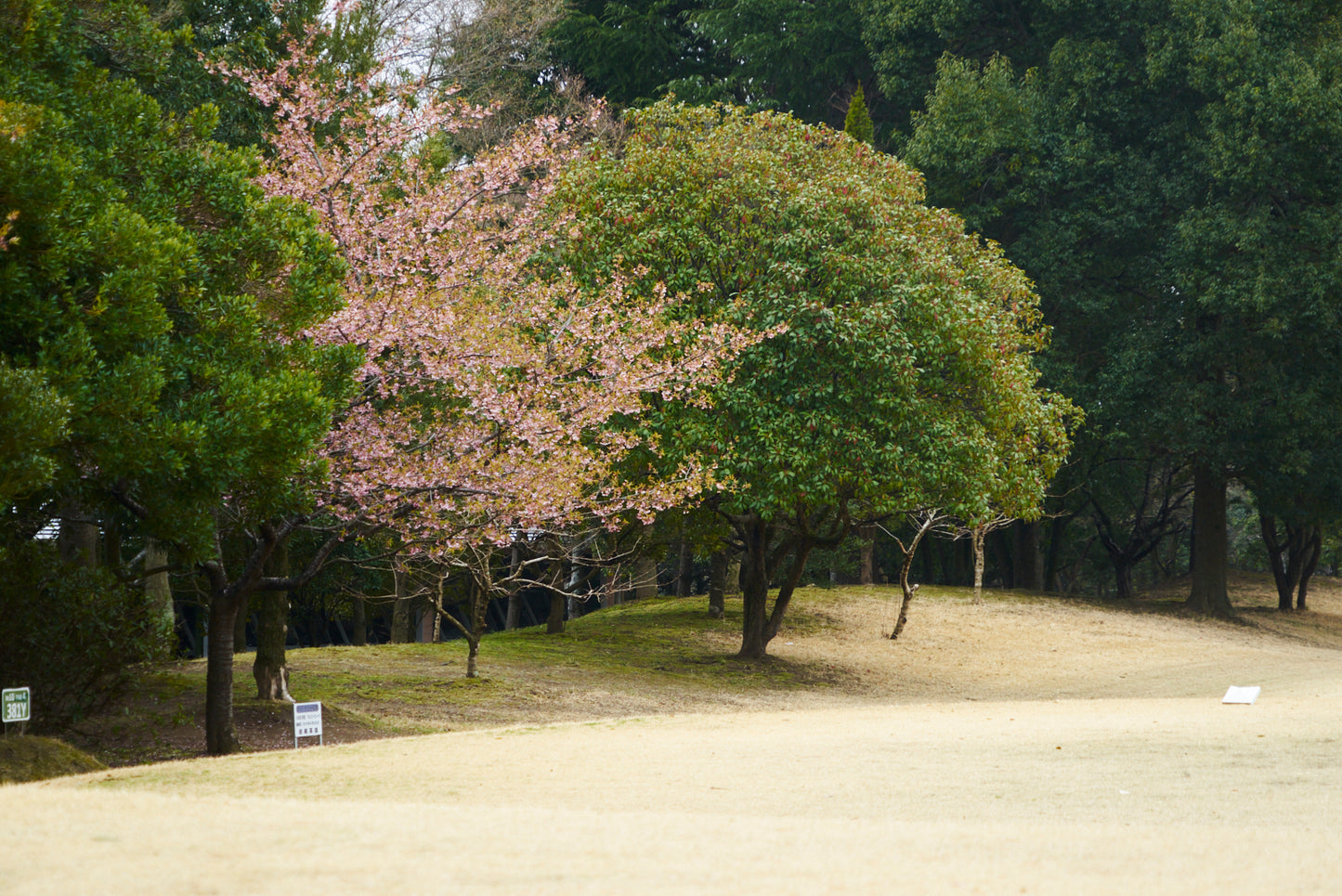 Shimodate Park Golf Club (inside the Hirosawa City)